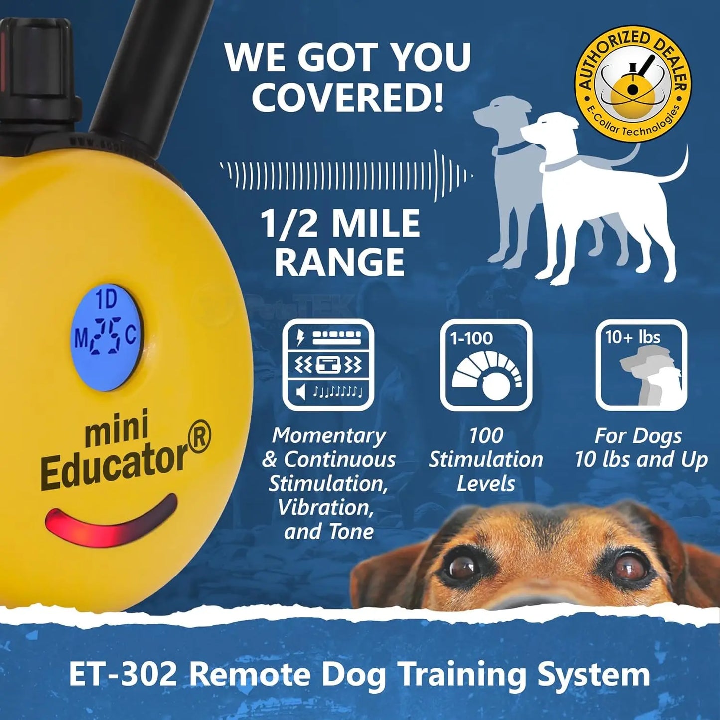 E-Collar - ET-300-1/2 Mile Remote Waterproof Trainer Mini Remote Training Collar - 100 Training Levels Plus Vibration